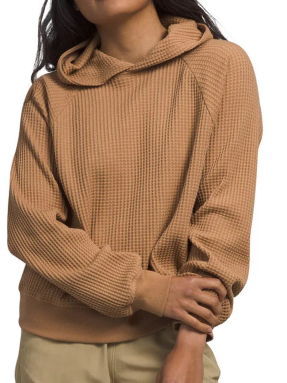 Plus Size The North Face Chabot Hooded Pullover Almond Butter